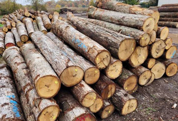 Logs Registros