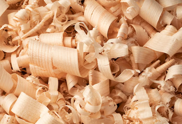 Wood Shavings Virutas de madera