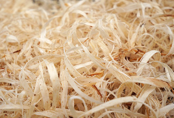 Wood Shavings Virutas de madera