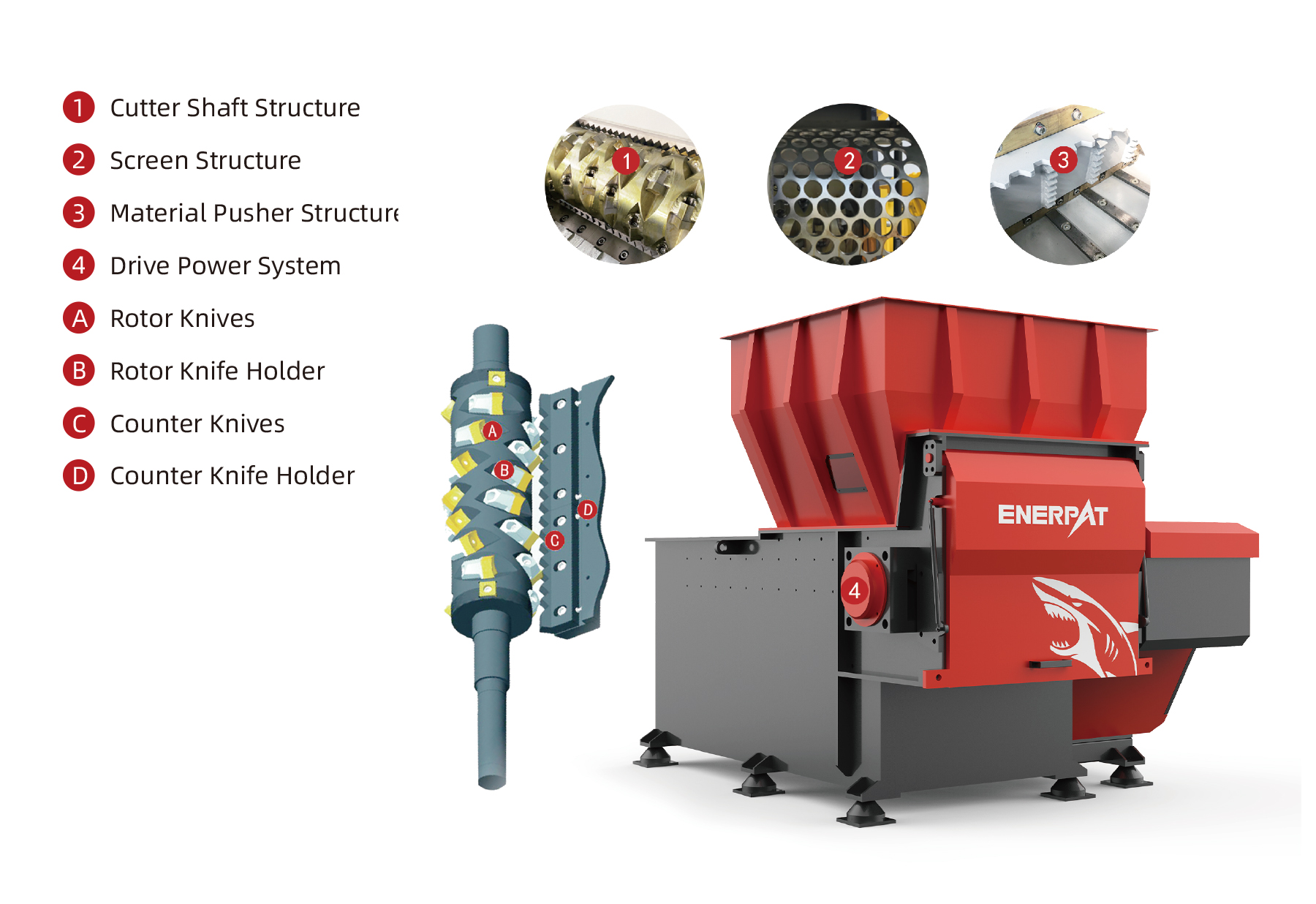 Composition and Structure Composición y estructura